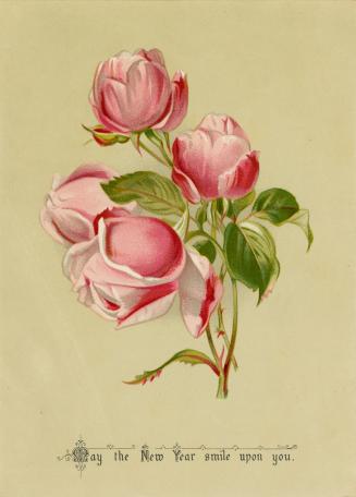 The card pictures four pink roses against a green-beige background.