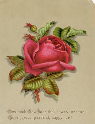 The card pictures a large red rose flower against a beige background. A short rhyming verse is …