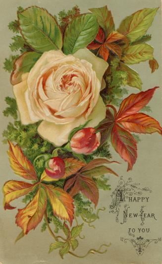 The card pictures a pale pink rose flower and green and red foliage against a green-grey backgr…