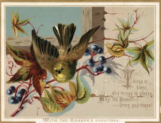 The card pictures a brown bird in flight. It is in front of a wall with a window. Vine-like lea…