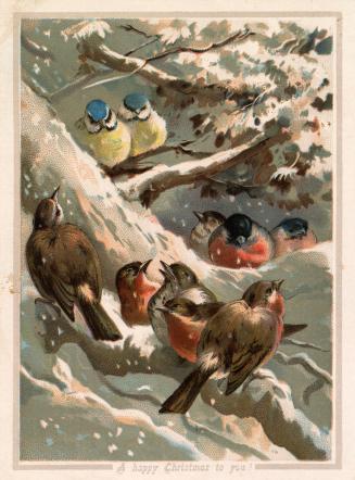 The card pictures ten birds sitting in the snowy branches of a tree. Most of the birds are brow…