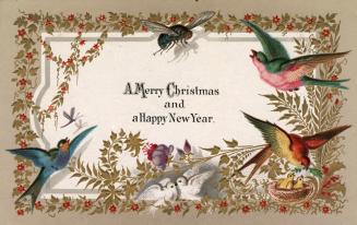 The card pictures an assortment of different coloured birds and one fly along its perimeter. A …