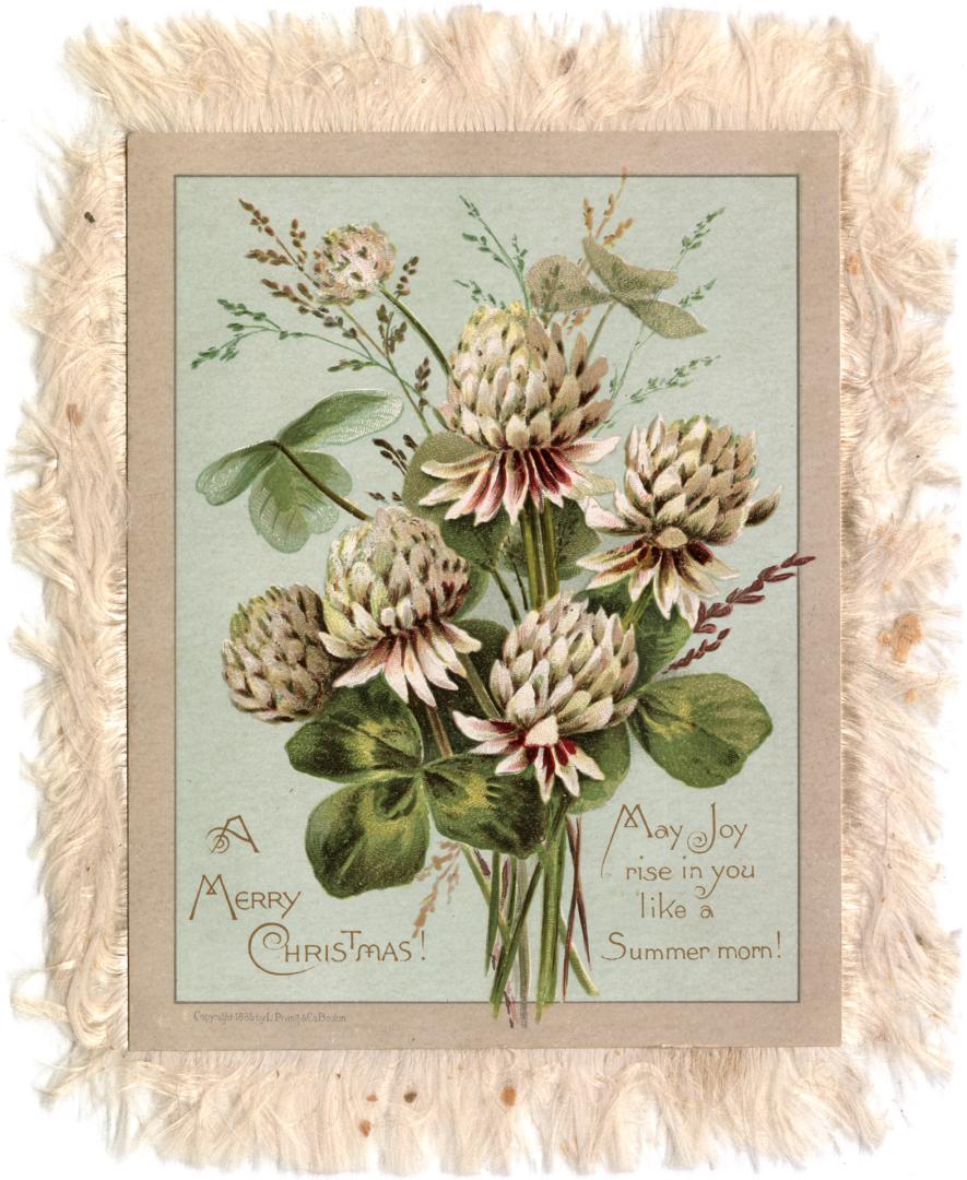The card pictures white clover flowers and their leaves against a light blue background. The ca…