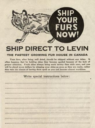 Ship your furs now! Ship direct to Levin the fastest growing fur house in Canada
