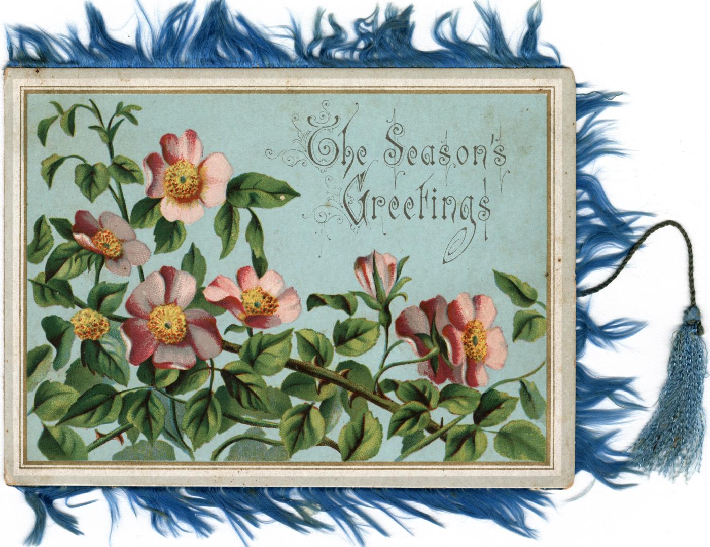 The card pictures pink flowers with leaves and thorny stems against a blue background. The card…