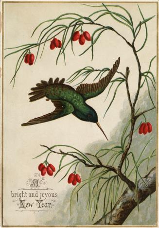 The card pictures a green humming bird in flight next to a tree branch with red flowers. 