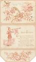 The front of the card pictures coral coloured drawings of leaves and flowers. The back pictures…