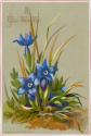 The card pictures blue flowers and foliage against a grey background.