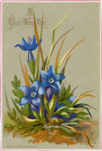 The card pictures blue flowers and foliage against a grey background.