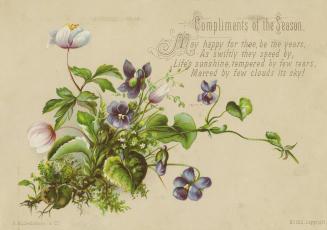 The card pictures a patch of purple and white flowers and foliage against a beige background. A…