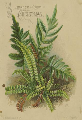 The card pictures fern-like foliage against a beige background. The initials "CM" are printed i…