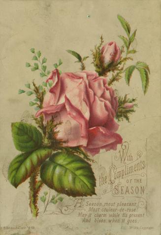 The card pictures a large pink rose, two rosebuds, and foliage against a beige background. A rh…