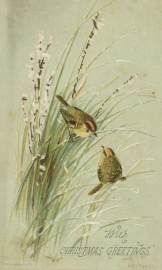 The card pictures two small brown birds. They are perched in a patch of tall grasses that have …