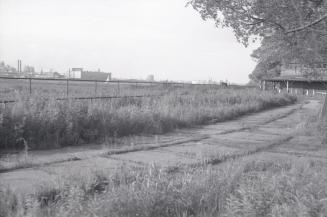 Photograph of an abandoned wooden building housing a merry-go-round on right with overgrown sid…