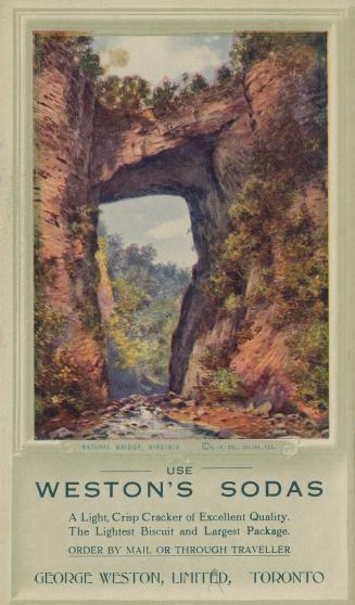 Image of a natural stone bridge in Virginia 