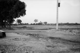 Photograph of a field with trees on left and a pole almost centre of photo. 