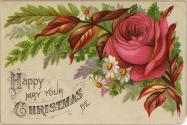 The card pictures a dark pink rose, daisies, and foliage against a beige background. Text on th…