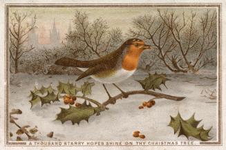 The card pictures a robin perched on a branch of holly berry leaves. It is in a snowy field. Ba…