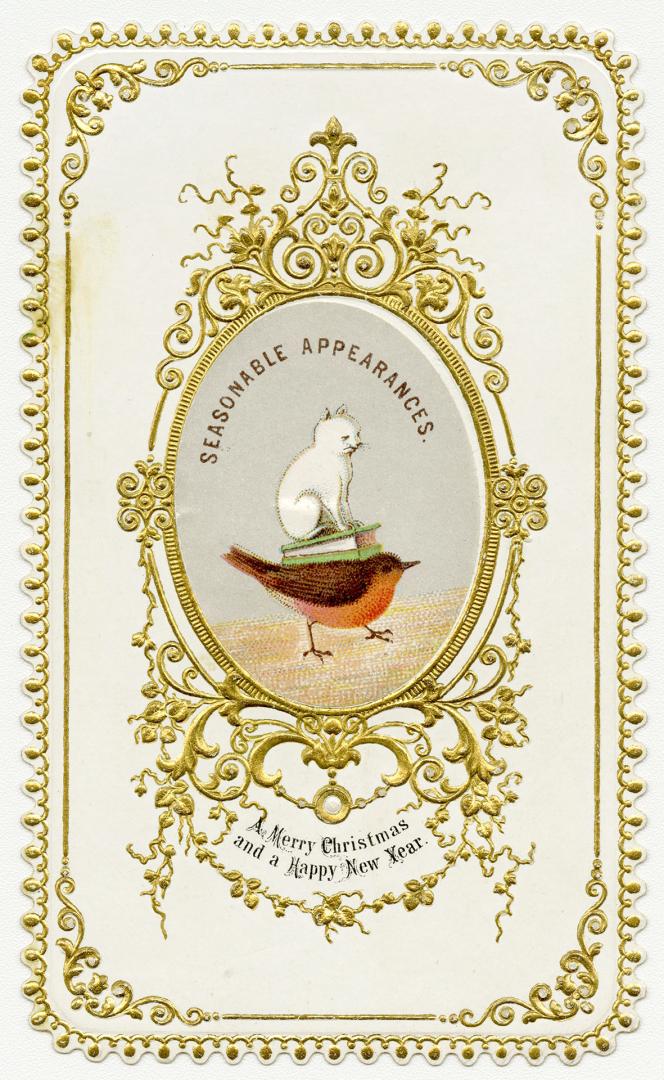 An oval image at the card's centre pictures a white cat sitting on top of a book, which in turn…