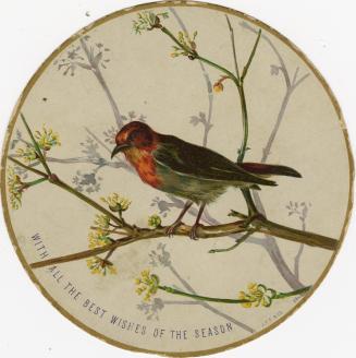 This circular card pictures a bird with a red head and dark body. It is perched on a tree branc…