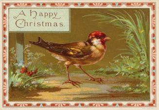 The card pictures a small brown bird with a red head. It is standing on a dirt path. Tall grass…