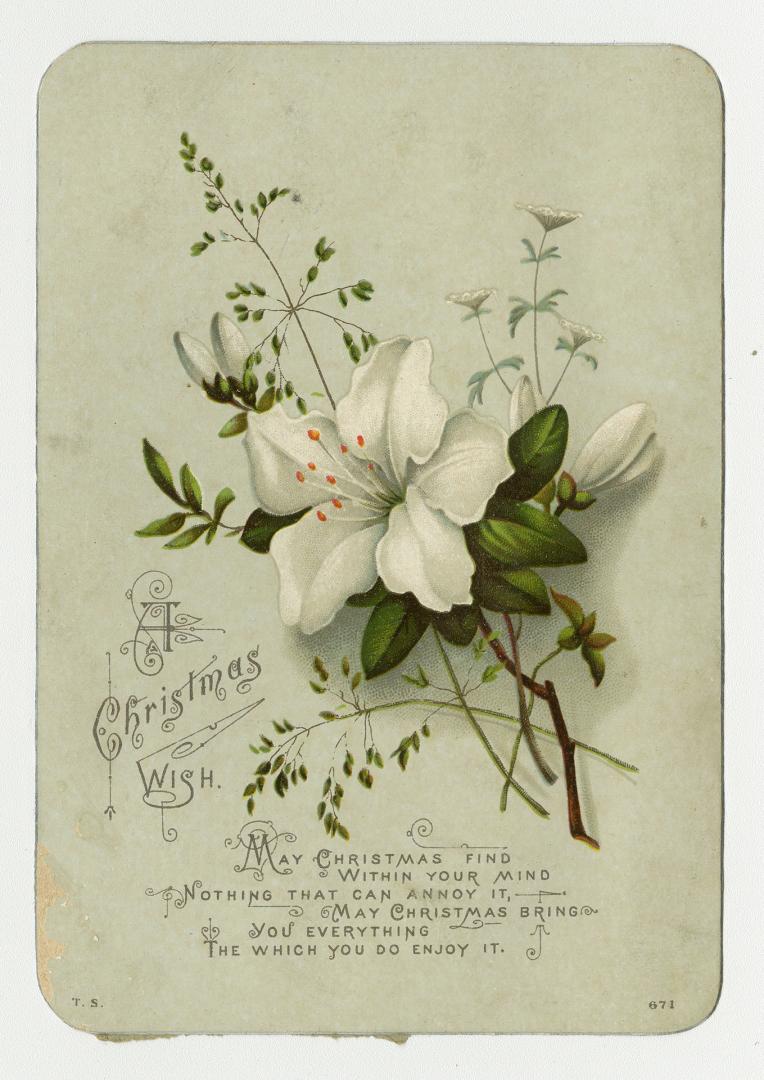 The card pictures a large white flower and foliage against a pale green background. A rhyming v…