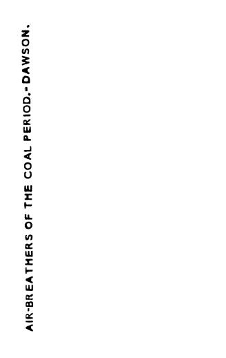 Air-breathers of the coal period, a descriptive account of the remains of land animals found in the coal formation of Nova Scotia, with remarks on the(...)