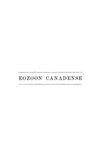 On the history of Eozoon canadense