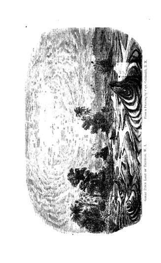 A practical treatise on coal, petroleum, and other distilled oils