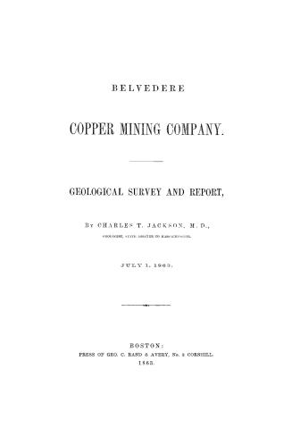 Belvedere Copper Mining Company