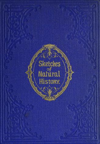Mary Howitt's sketches of natural history