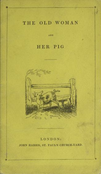 The remarkable adventures of an old woman and her pig : an ancient tale in a modern dress