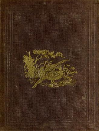 The juvenile naturalist, or, Walks in spring, summer, autumn, and winter