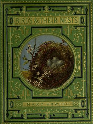 Birds and their nests