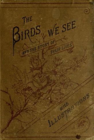 The birds we see : and the story of their lives