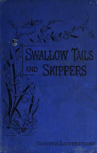 Swallow-tails and skippers