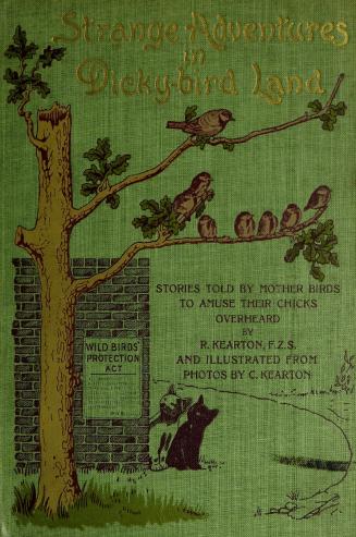 Strange adventures in Dicky-bird land : stories told by mother birds to amuse their chicks