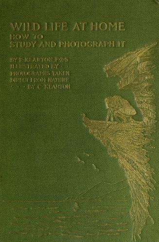 Wild life at home : how to study and photograph it