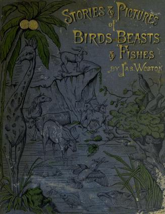 Stories and pictures of birds, beasts, fishes, and other creatures