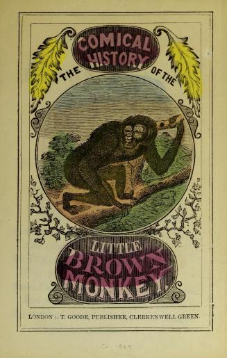 The comical history of the little brown monkey