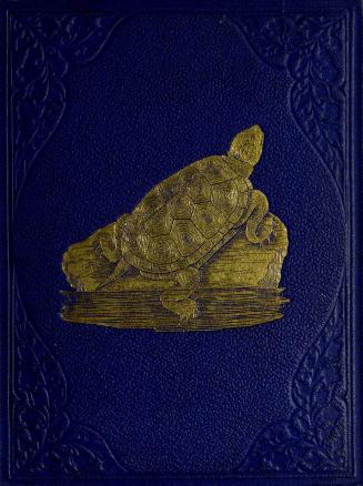 Popular history of the aquarium of marine and fresh-water animals and plants