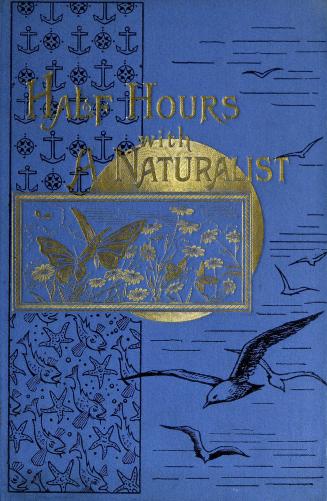 Half hours with a naturalist : rambles near the shore