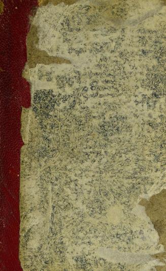 Book cover: very worn, mottled grey, quarter calf (badly torn)