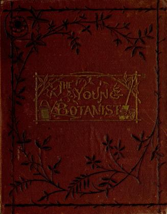 The young botanist
