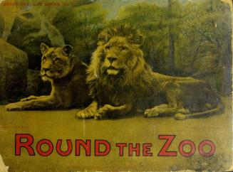 Round the zoo