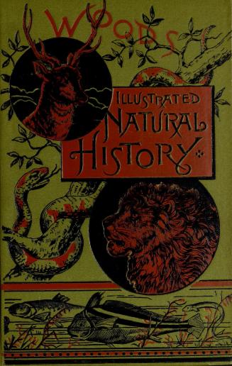 Illustrated natural history