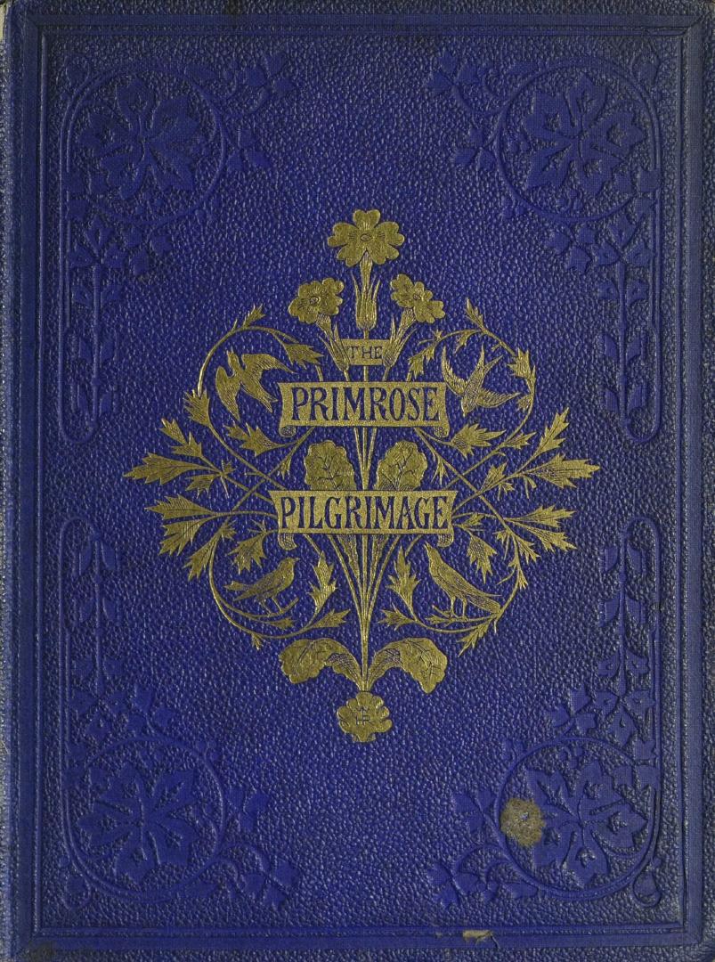 The primrose pilgrimage : a woodland story