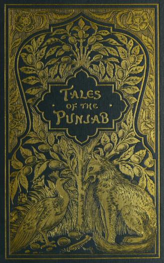 Tales of the Punjab : told by the people