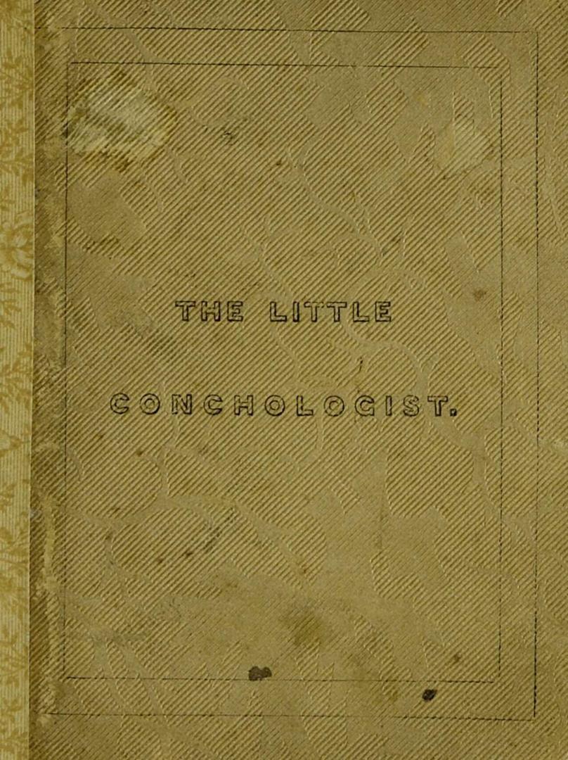 The little conchologist : an introduction to the classification of shells