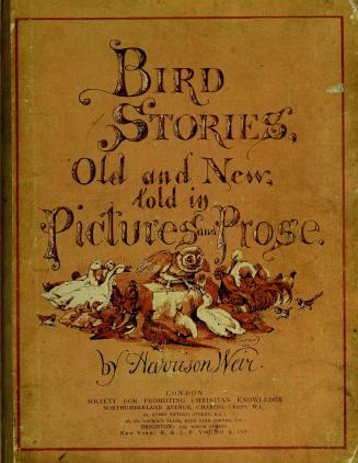 Bird stories old and new : told in pictures and prose